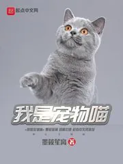 《我是宠物喵》小说封面