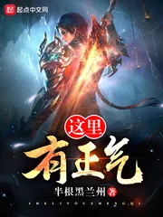 《这里有正气》小说封面