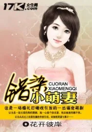 《错染小萌妻》小说封面