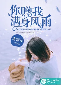 《你赐我满身风雨》小说封面