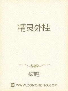 《精灵外挂》小说封面