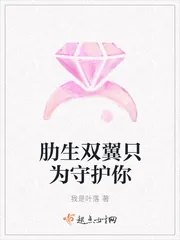 《肋生双翼只为守护你》小说封面