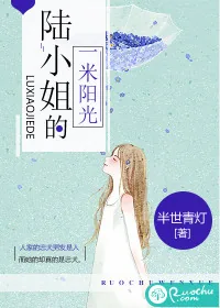 《陆小姐的一米阳光》小说封面
