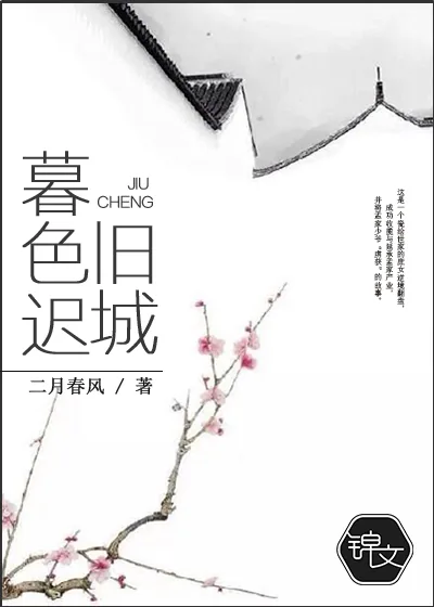 《旧城暮色迟》小说封面