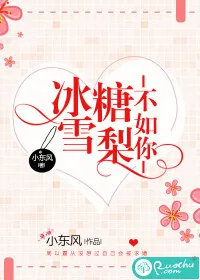 《冰糖雪梨不如你》小说封面