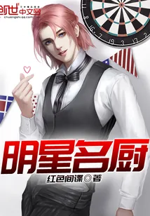 《明星名厨》小说封面