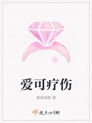 《爱可疗伤》小说封面