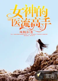 《女神的医流高手》小说封面