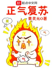《正气复苏》小说封面