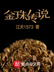 《金珠传说》小说封面
