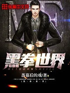 《黑拳世界》小说封面