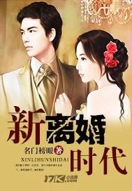 《新离婚时代》小说封面