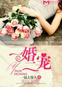 《一婚二宠》小说封面