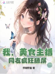 《我，美食主播，网友疯狂舔屏！》小说封面