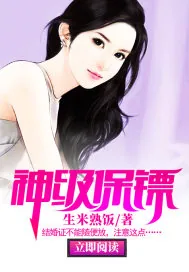 《神级保镖.》小说封面