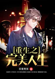 《重生之完美人生.》小说封面
