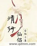 《清纱仙侣》小说封面
