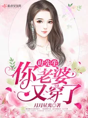 《叶先生，你老婆又穿了》小说封面