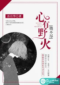《心有野火烧不尽》小说封面
