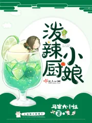 《泼辣小厨娘》小说封面