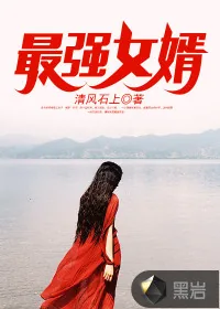 《最强女婿》小说封面