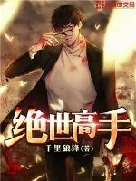 《绝世高手》小说封面