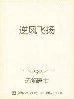 《逆风飞扬》小说封面