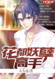 《花都妖孽高手》小说封面