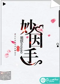 《妙因手》小说封面