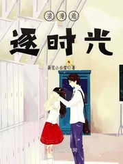 《浪漫追逐时光》小说封面