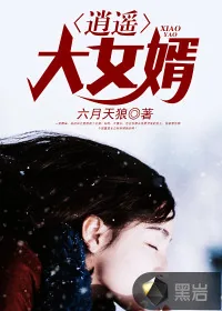 《逍遥大女婿》小说封面