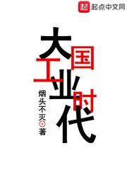 《大国工业时代》小说封面