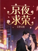 《京夜求荣》小说封面