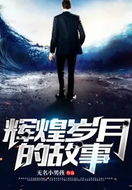《辉煌岁月的故事》小说封面