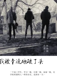 《我被幸运砸破了头》小说封面