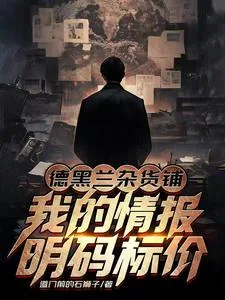 《德黑兰杂货铺：我的情报明码标价》小说封面