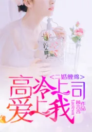 《二婚缠绵：高冷上司爱上我》小说封面