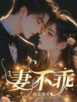 《妻不乖》小说封面