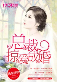 《总裁掠爱成婚》小说封面