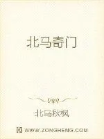 《北马奇门》小说封面