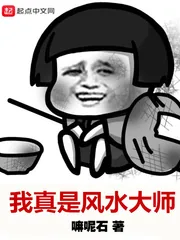 《我真是风水大师》小说封面