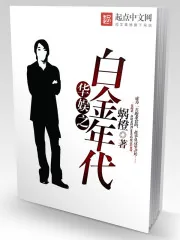 《华娱之白金年代》小说封面