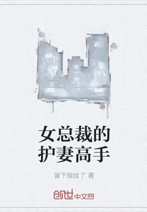 《女总裁的护妻高手》小说封面