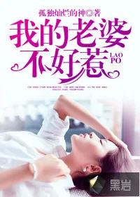 《我的老婆不好惹》小说封面