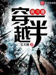 《我只能穿越一半》小说封面