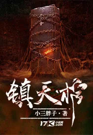 《镇天棺》小说封面