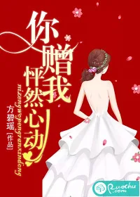 《你赠我怦然心动》小说封面
