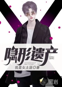 《隐形遗产》小说封面