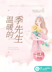 《温暖的季先生》小说封面