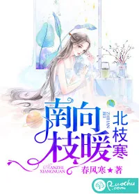 《南枝向暖北枝寒》小说封面